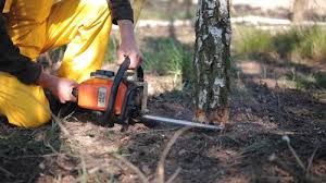 Soil Testing and Treatment in Greenwood, IN